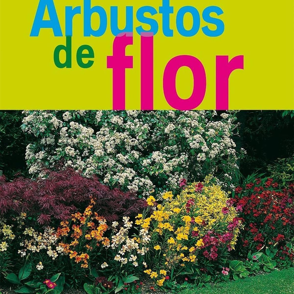 SUSAETA - Arbustos De Flor. Jardinería Y Plantas