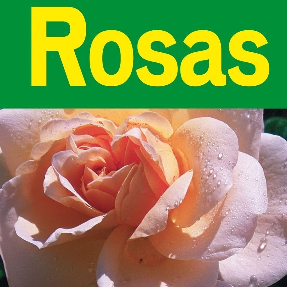 SUSAETA - Rosas. Jardinería Y Plantas