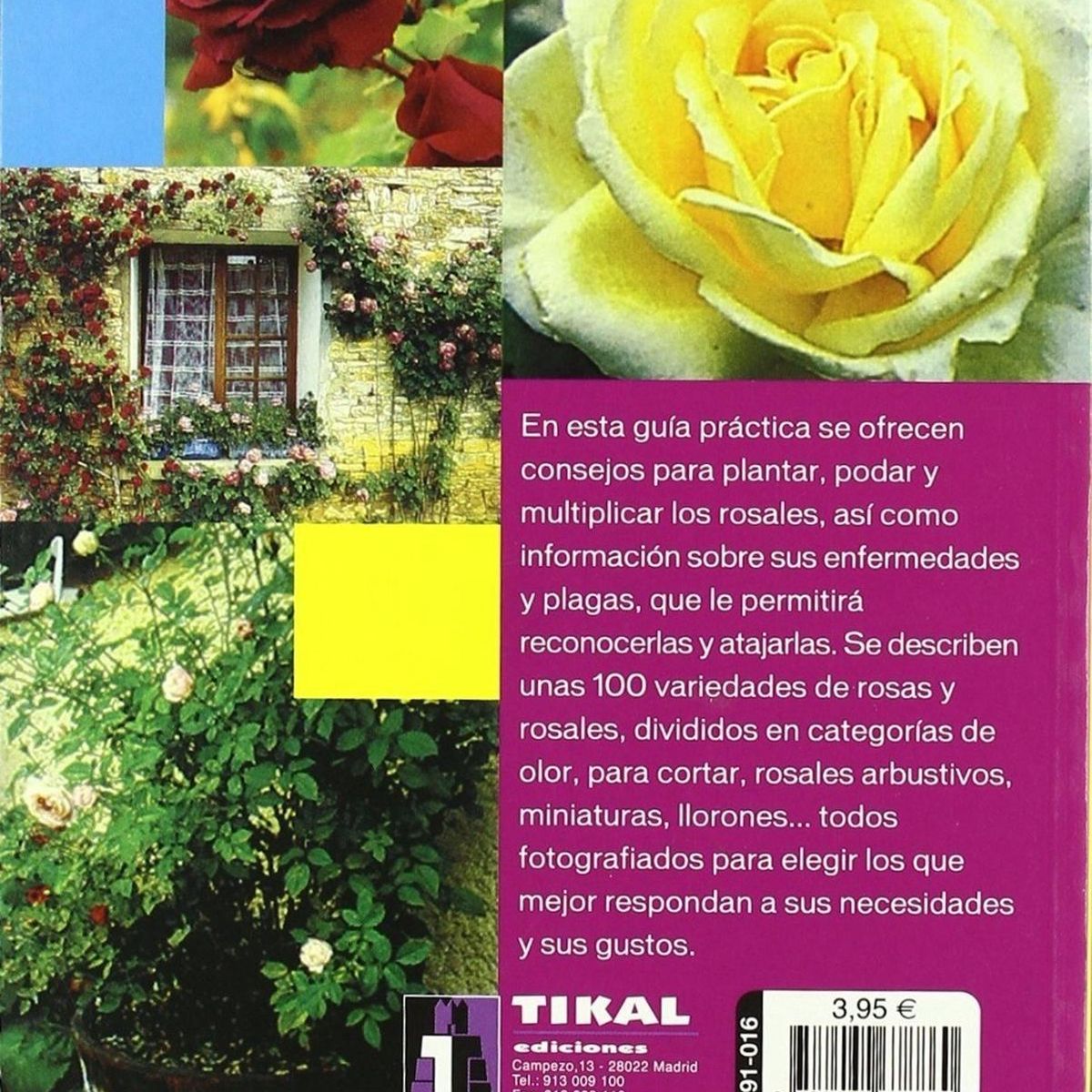 SUSAETA - Rosas. Jardinería Y Plantas