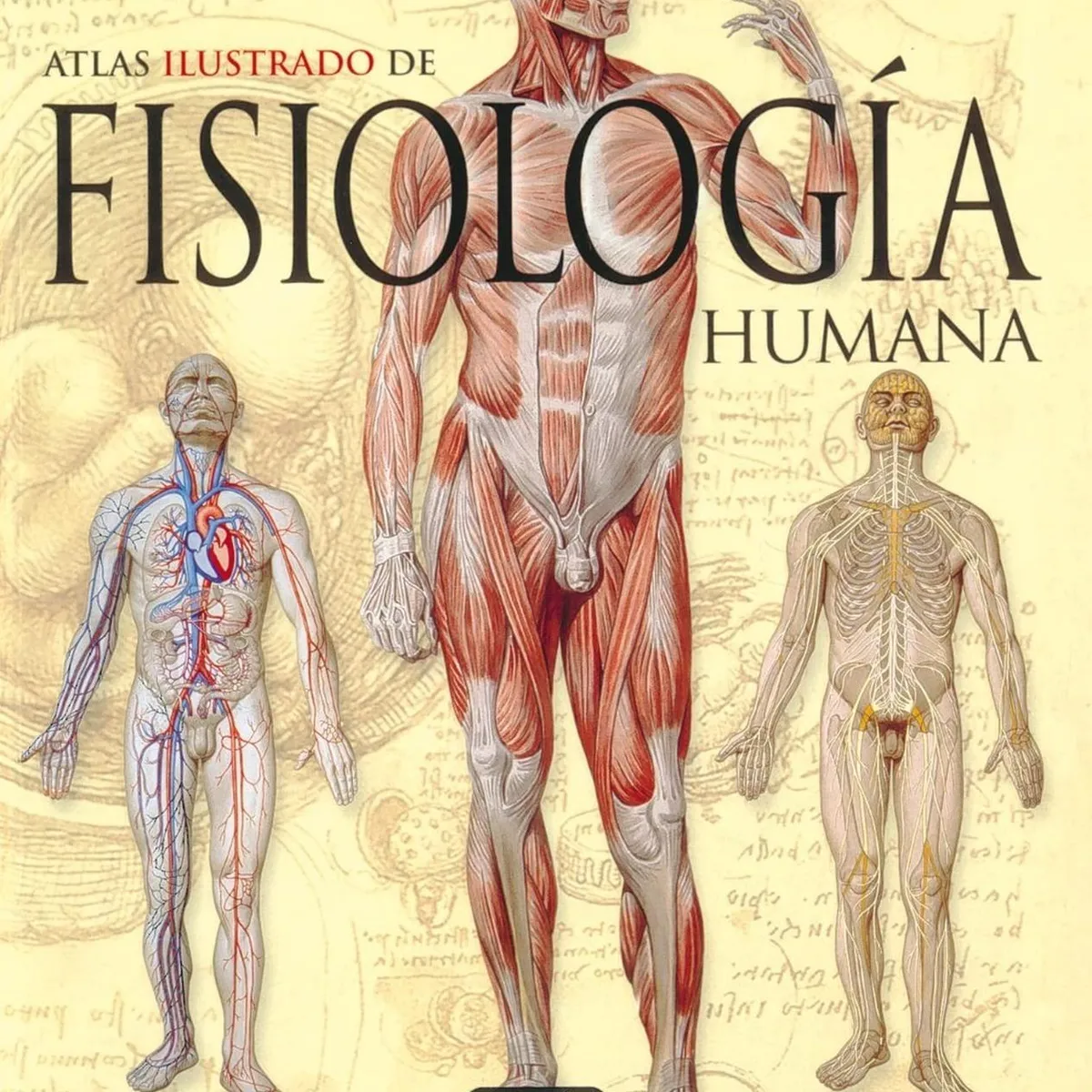 SUSAETA - Atlas Ilustrado Fisiología Humana (t.d)