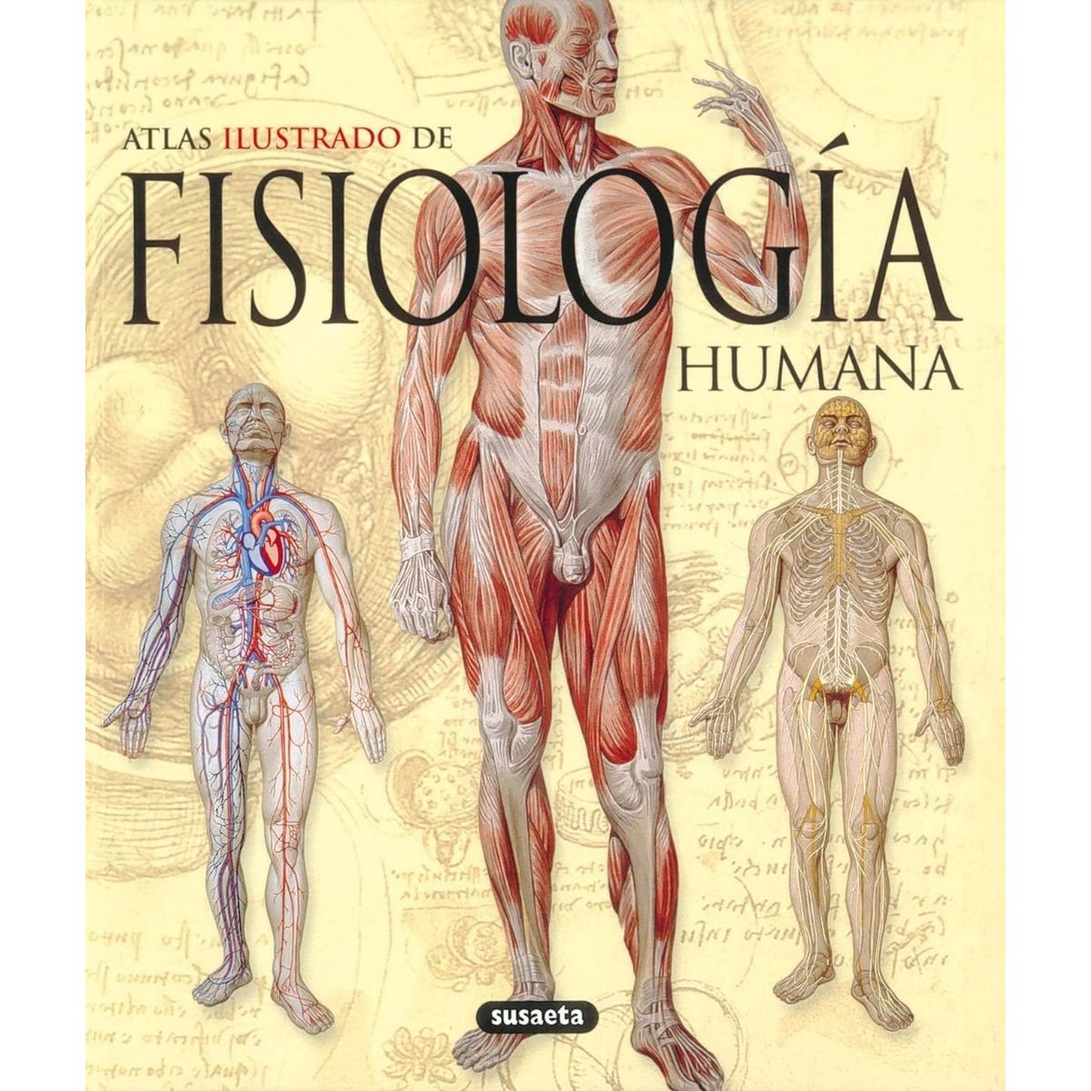 SUSAETA - Atlas Ilustrado Fisiología Humana (t.d)
