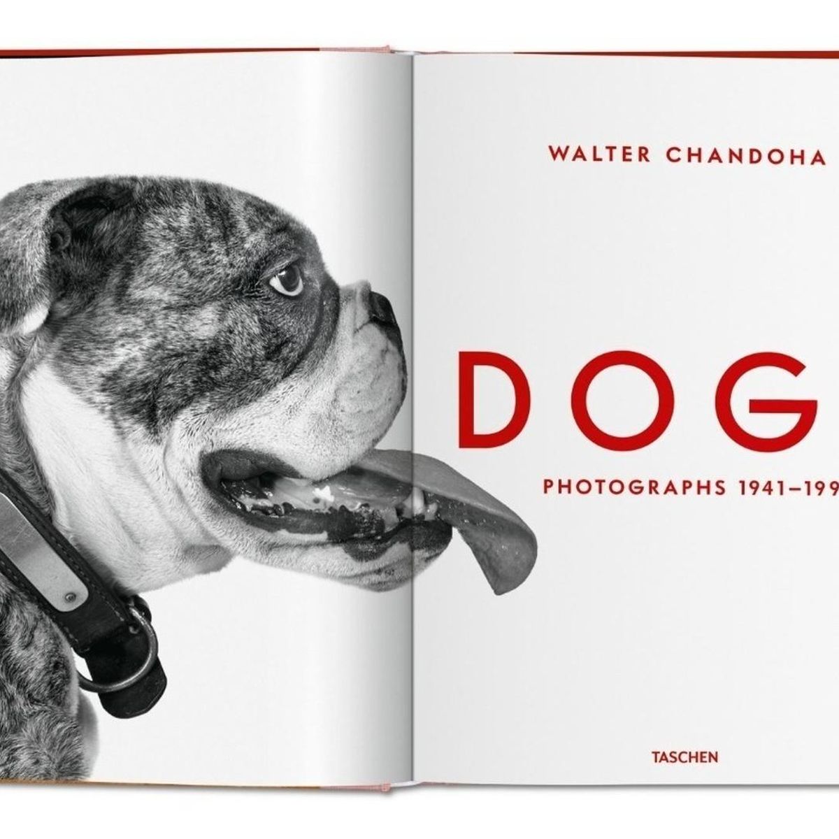 TASCHEN - Walter Chandoha. Dogs. Photographs 1941-1991 (t.d) -fo-