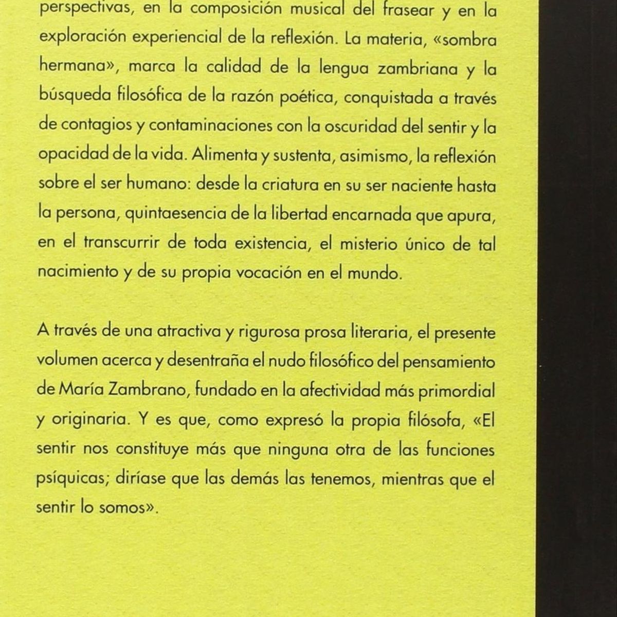 GENERICO - Por Amor De Materia. Ensayos Sobre María Zambrano