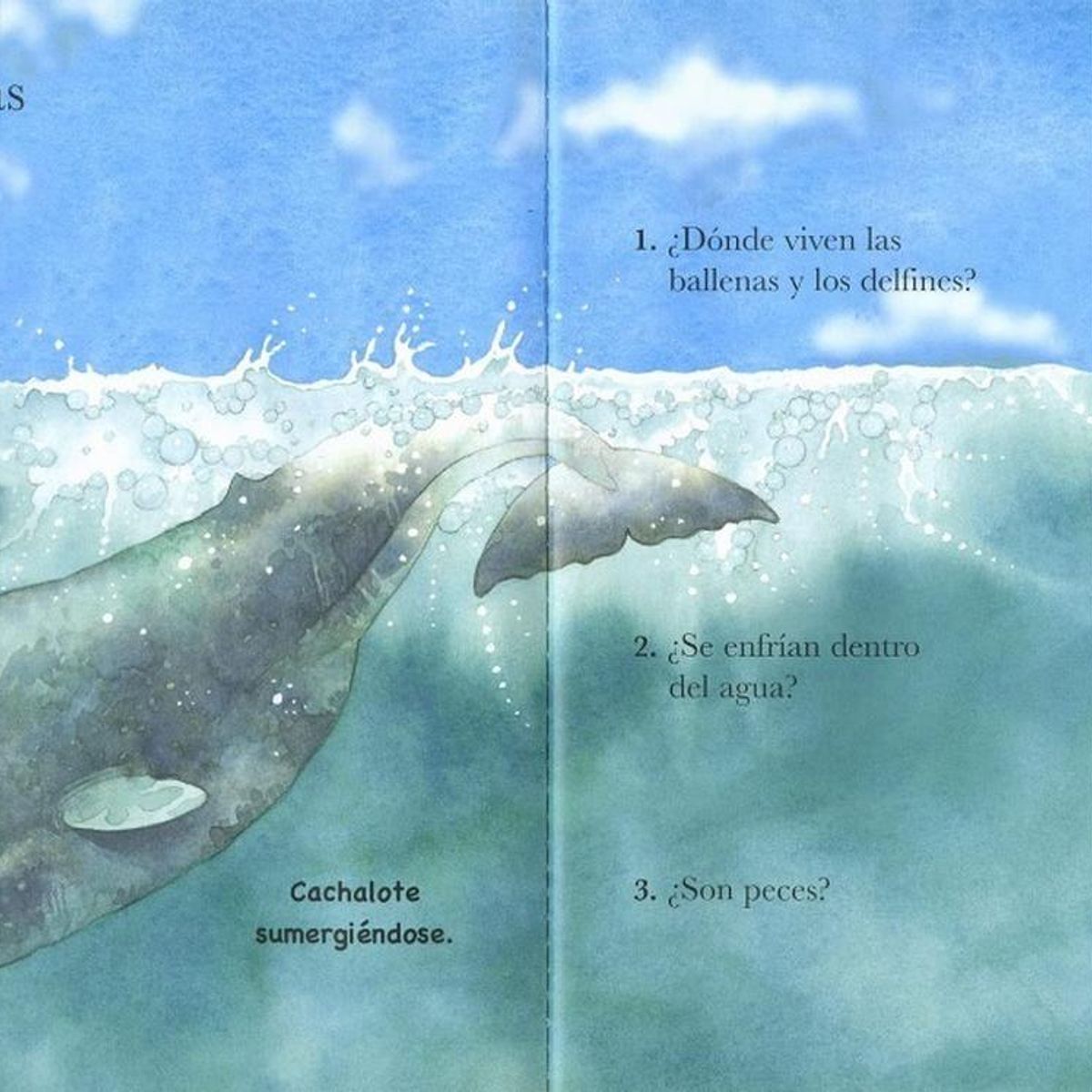 SUSAETA - Ballenas Y Delfines. Mundo Animal (t.d)