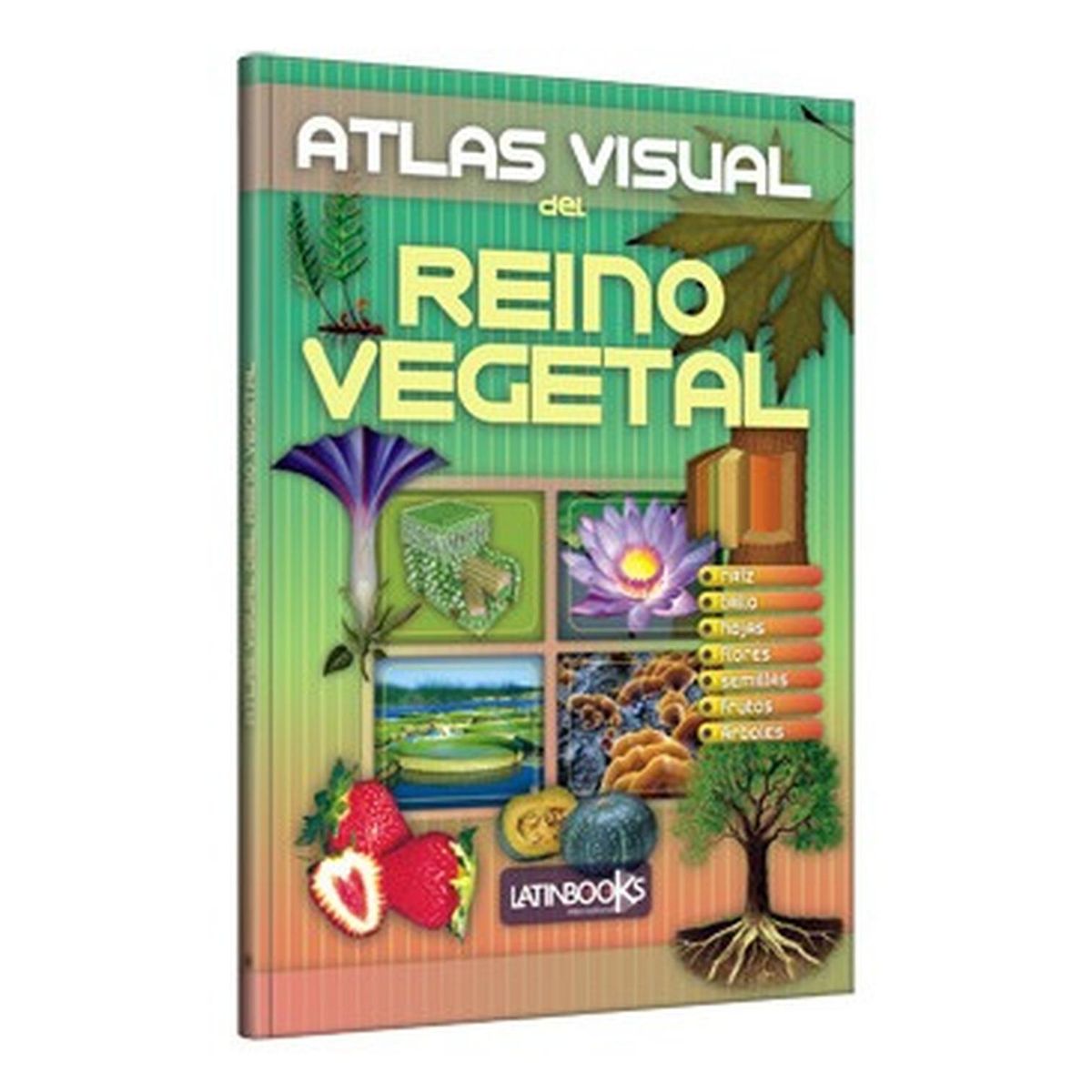 GENERICO - Atlas Visual Del Reino Vegetal