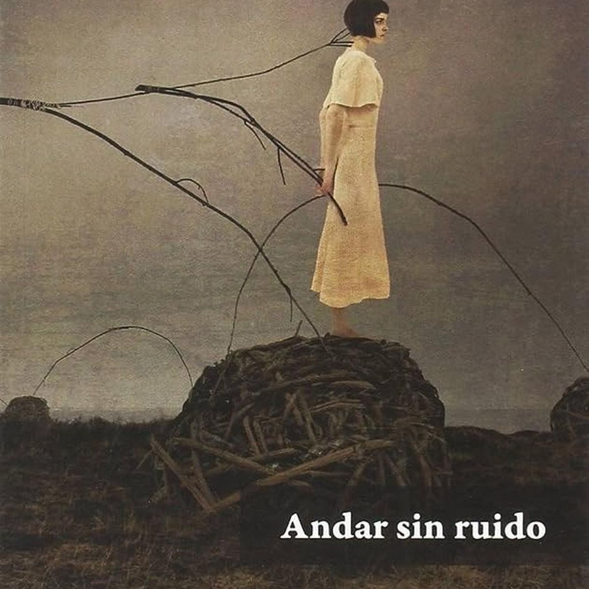 GENERICO - Andar Sin Ruido. Carlos Frontera