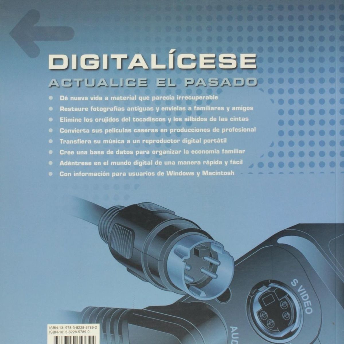 EVERGREEN - Digitalicese -ev-