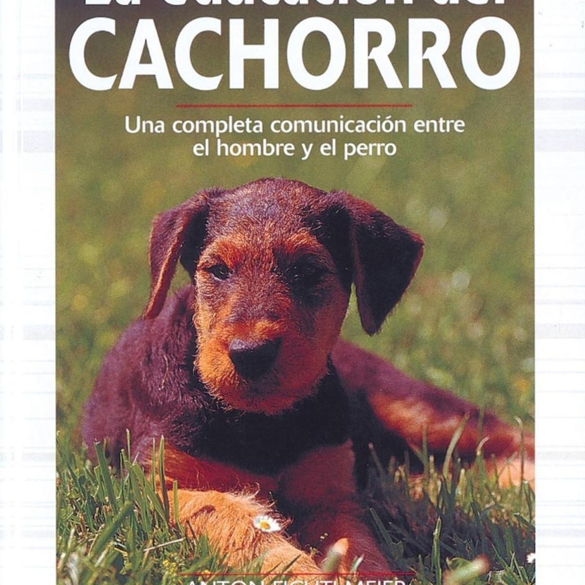 SUSAETA - La Educación Del Cachorro. Gran Guía Animal
