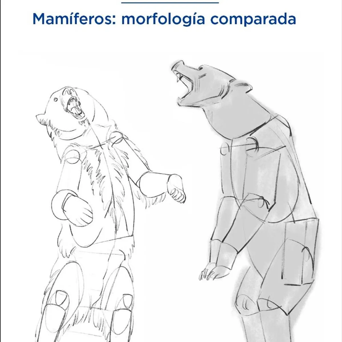 GUSTAVO GILI - Anatomía Artística 9. Mamíferos: Morfología Comparada