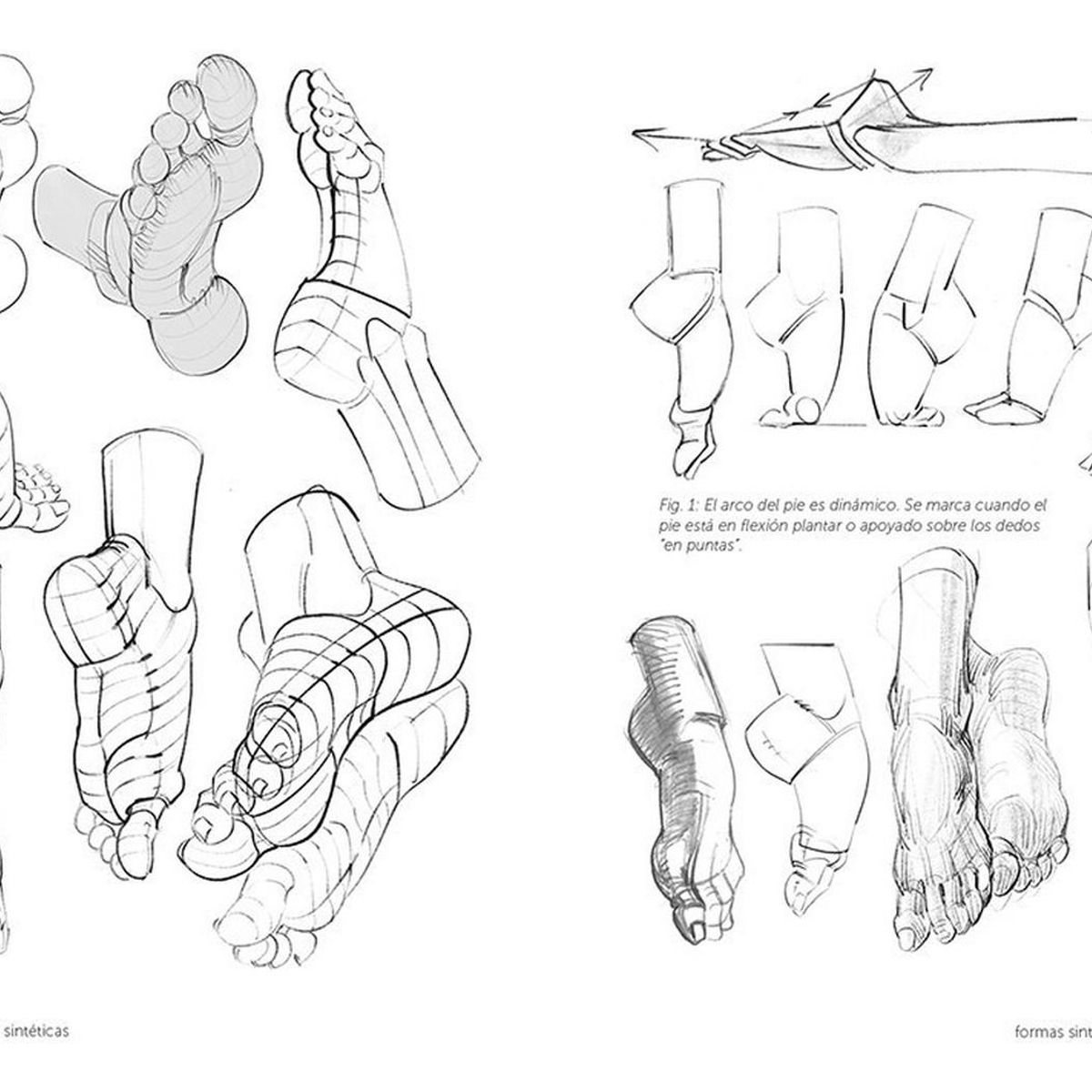 GUSTAVO GILI - Anatomía Artística 6: Manos Y Pies
