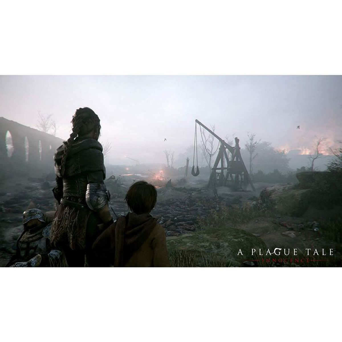 XBOX - A plague tale innocence - playstation 4
