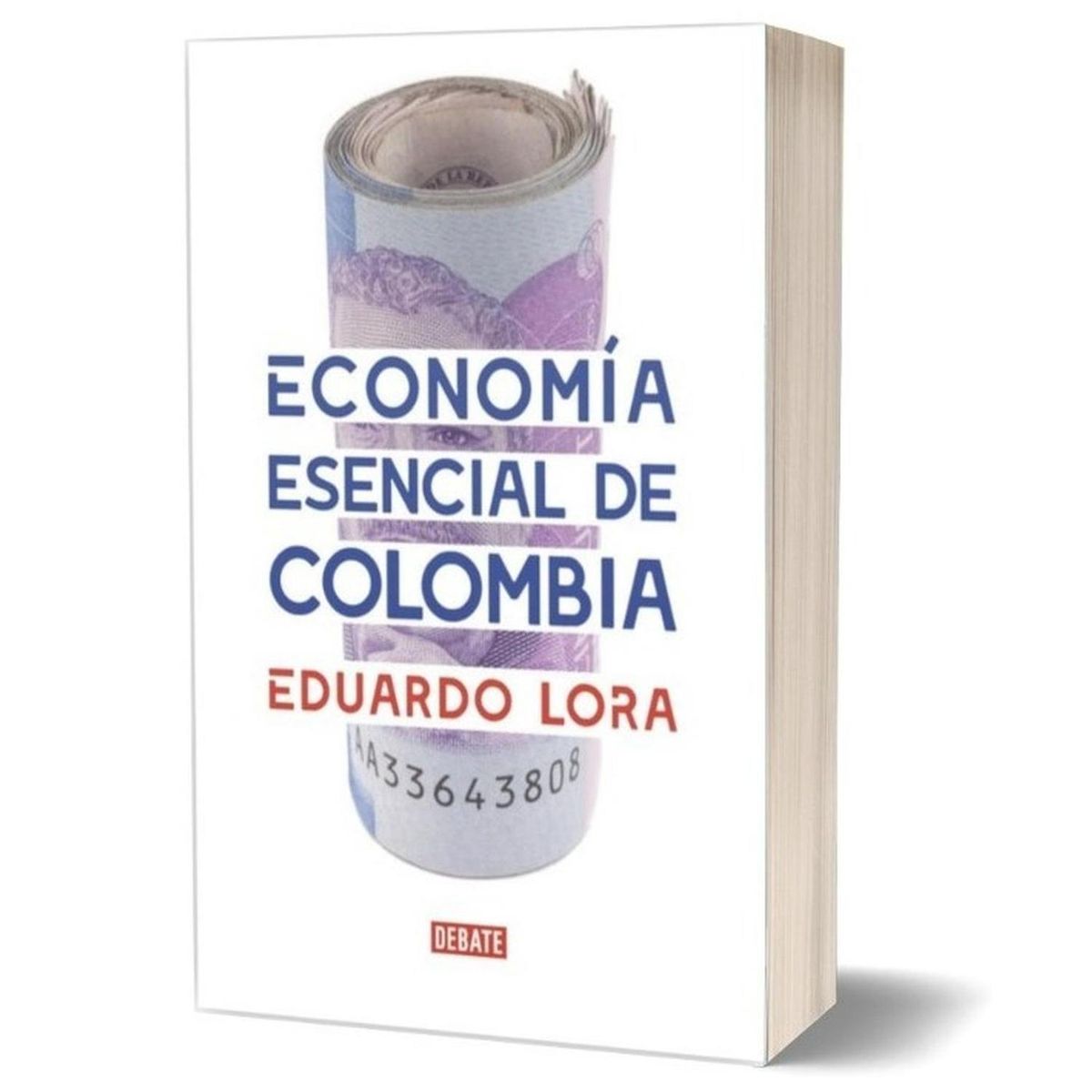 DEBATE - Economía Esencial De Colombia. Eduardo Lora