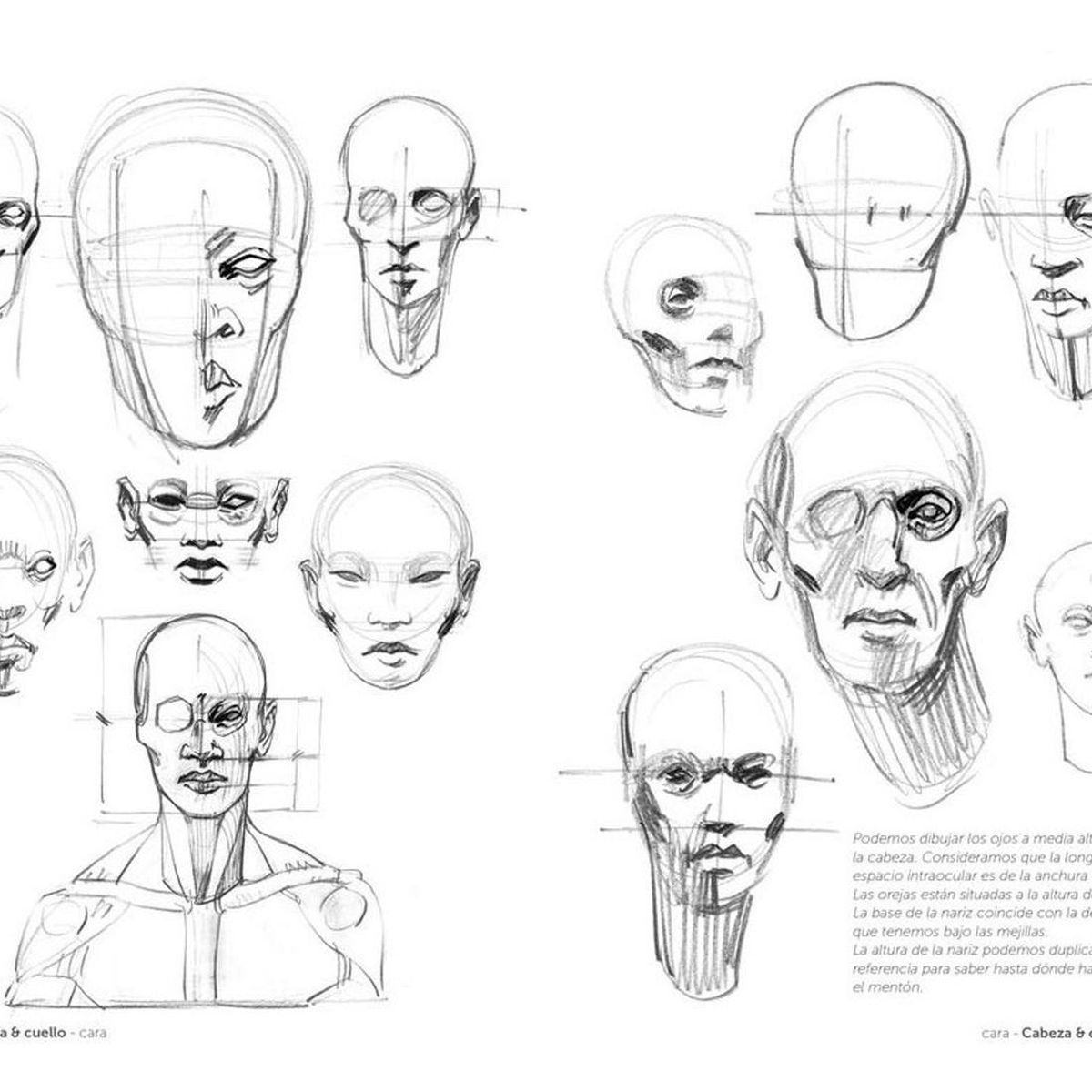GUSTAVO GILI - Anatomía Artística 2: Cómo Dibujar El Cuerpo Humano