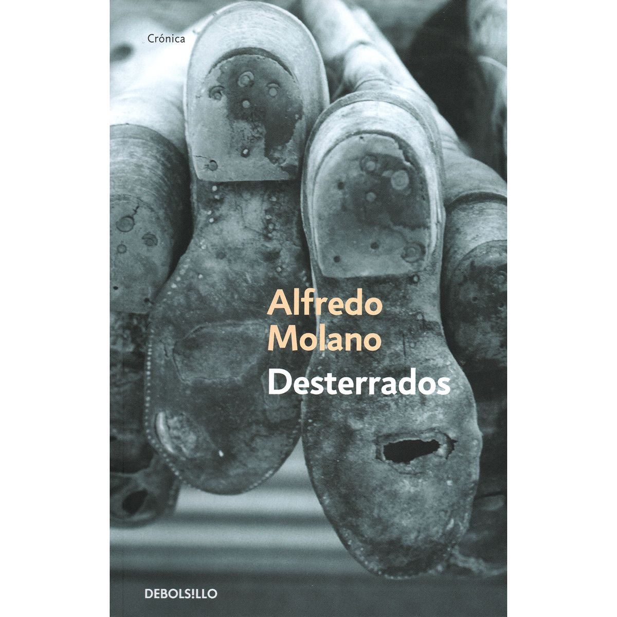 DEBOLSILLO - Desterrados. Alfredo Molano