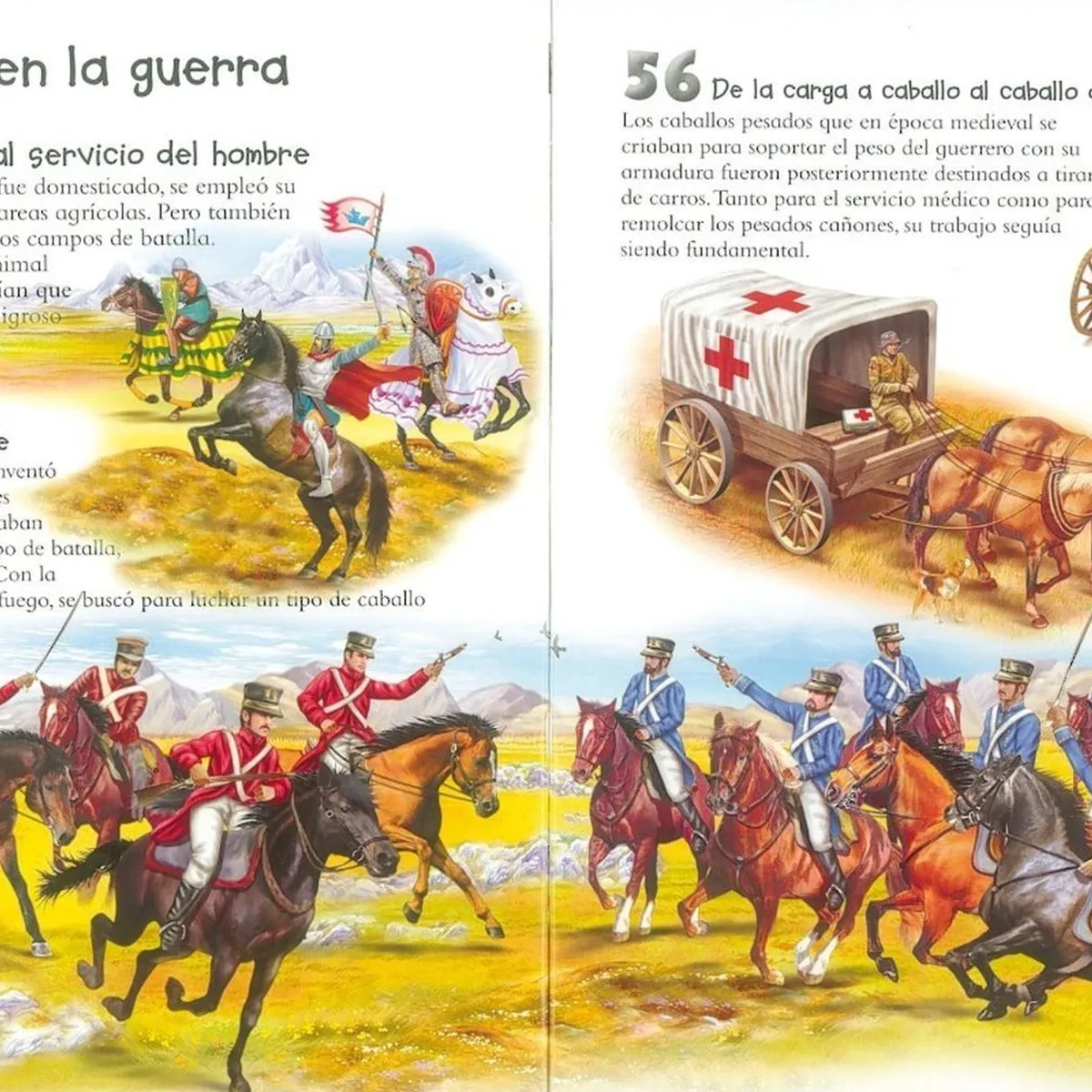 SUSAETA - 101 Cosas Que Deberías Saber Sobre Los Caballos