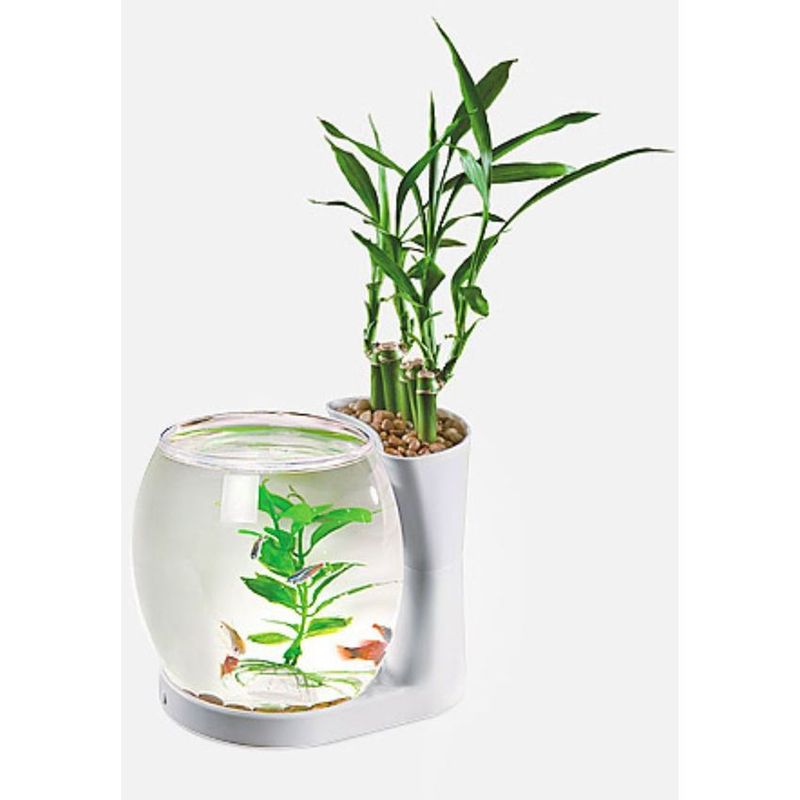 SEACHEM - Acuario Nature World Single Tank Aquasyncro 3lt