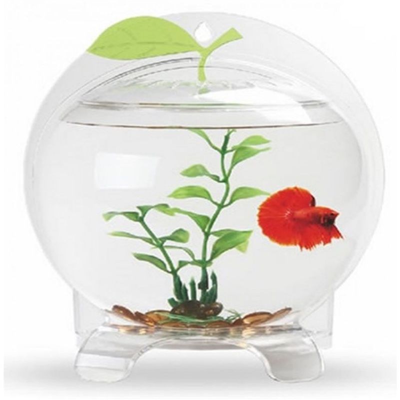 SEACHEM - Betera Fancy AppIe Acuario Bettas Aquasyncro 1.8 Lt