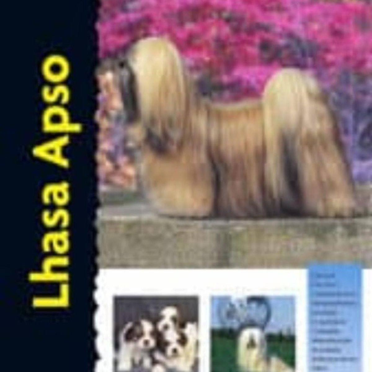 GENERICO - Lhasa Apso. Excellence