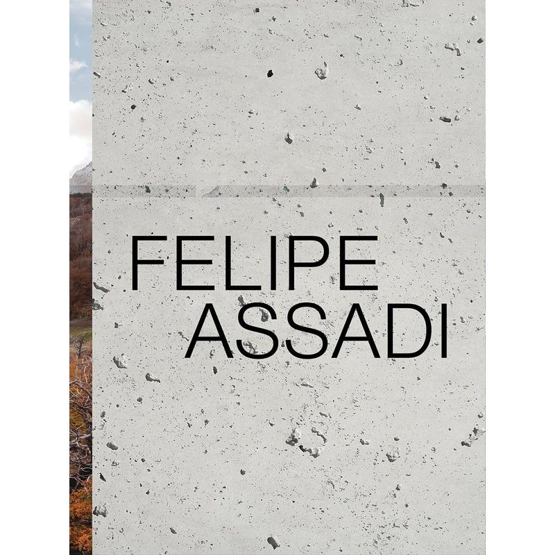 GENERICO - Felipe Assadi
