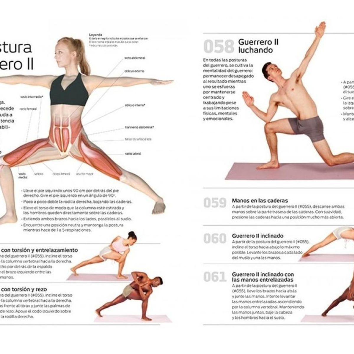 GENERICO - Los 501 Mejores Ejercicios De Yoga