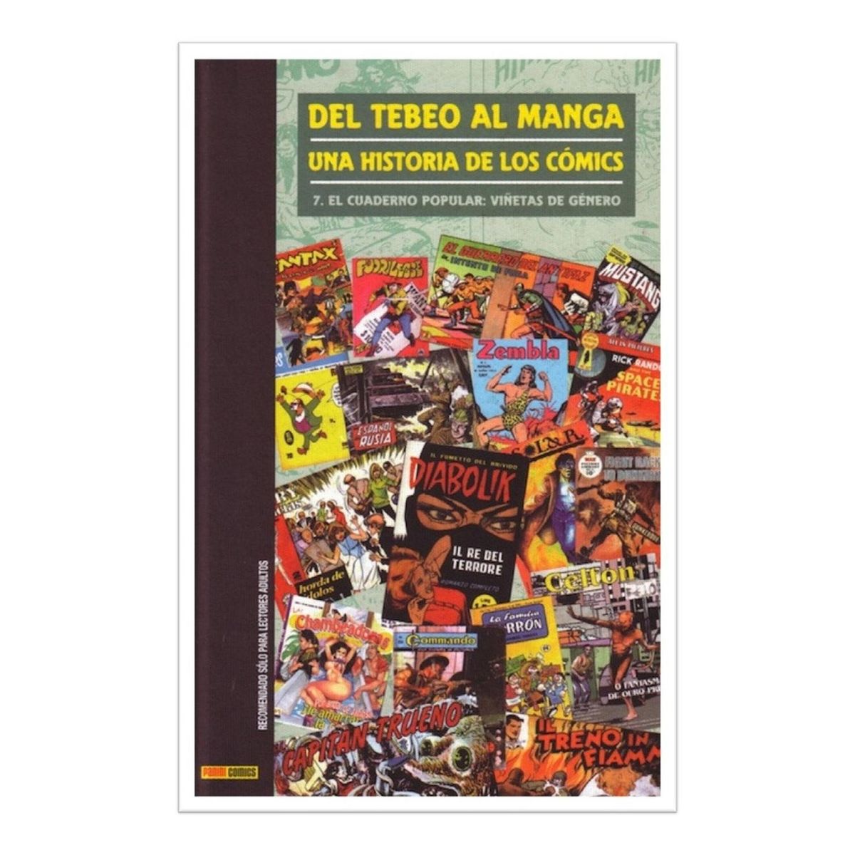 PANINI - Del Tebeo Al Manga. Una Historia De Los Cómics 7