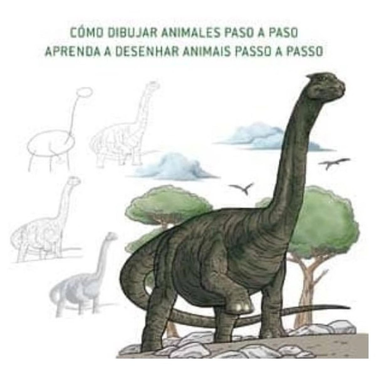 GENERICO - Como Dibujar Animales Paso A Paso