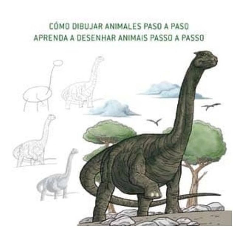 GENERICO - Como Dibujar Animales Paso A Paso
