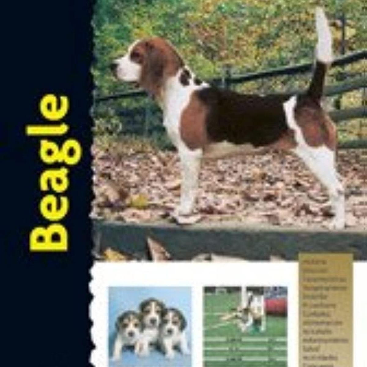 GENERICO - Beagle. Excellence