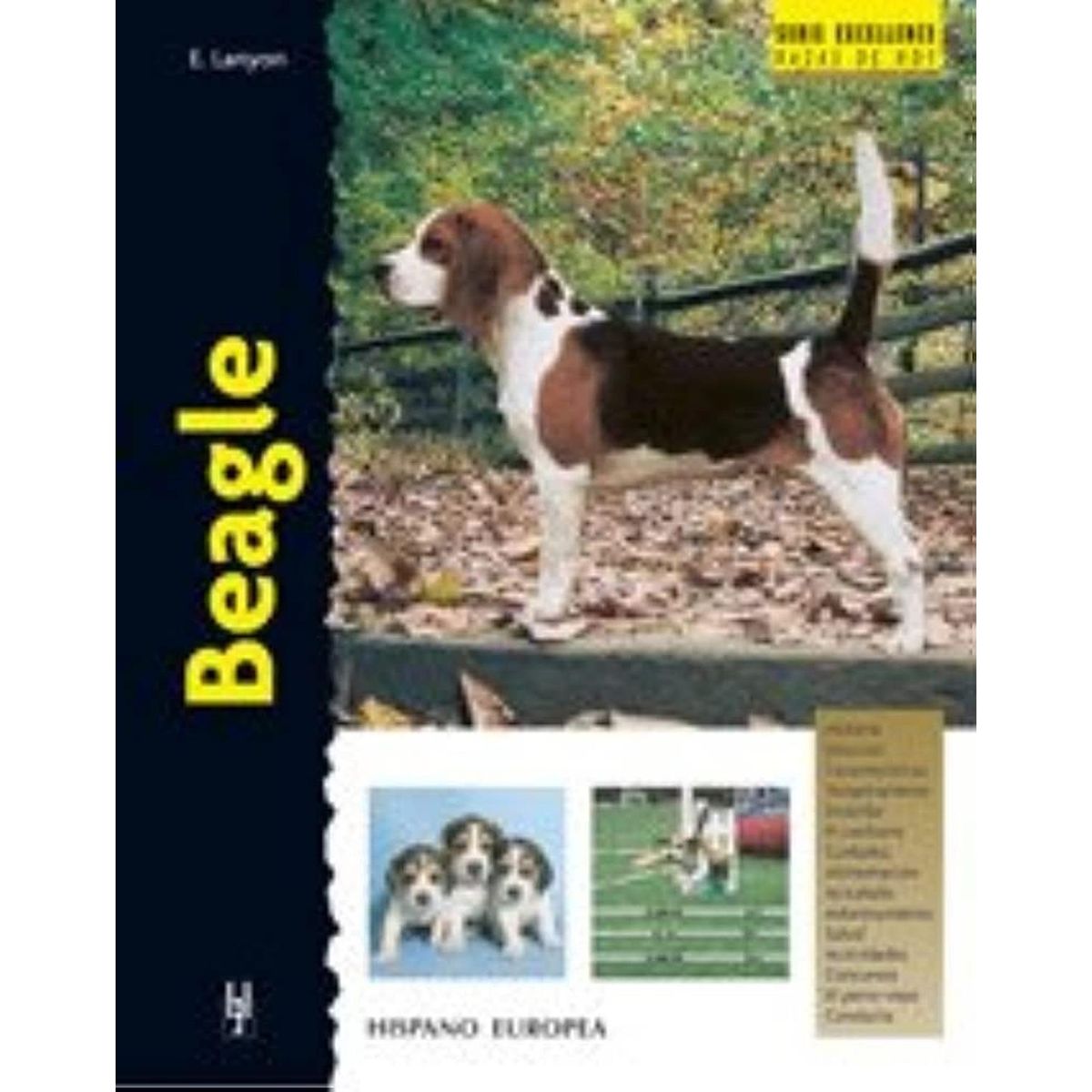 GENERICO - Beagle. Excellence