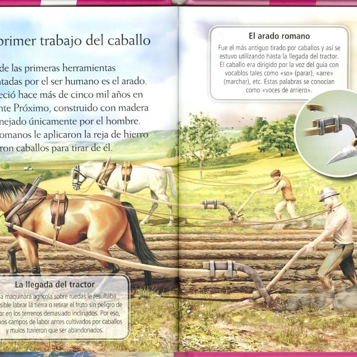SUSAETA - Historia De Caballos (t.d) Nivel 3