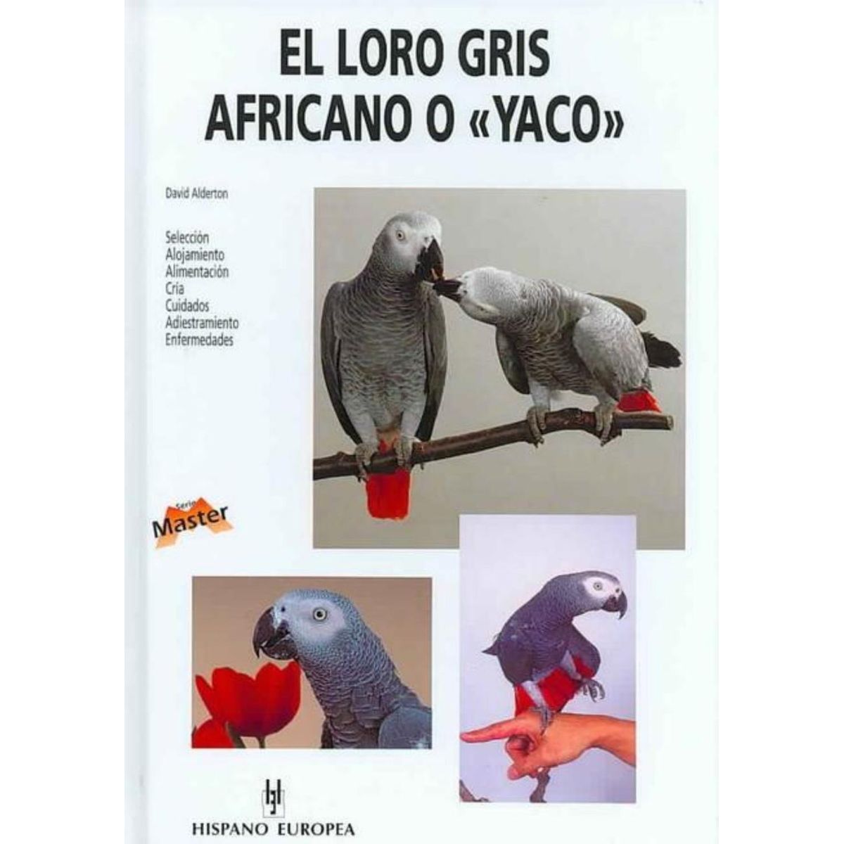 GENERICO - El Loro Gris Africano O Yaco