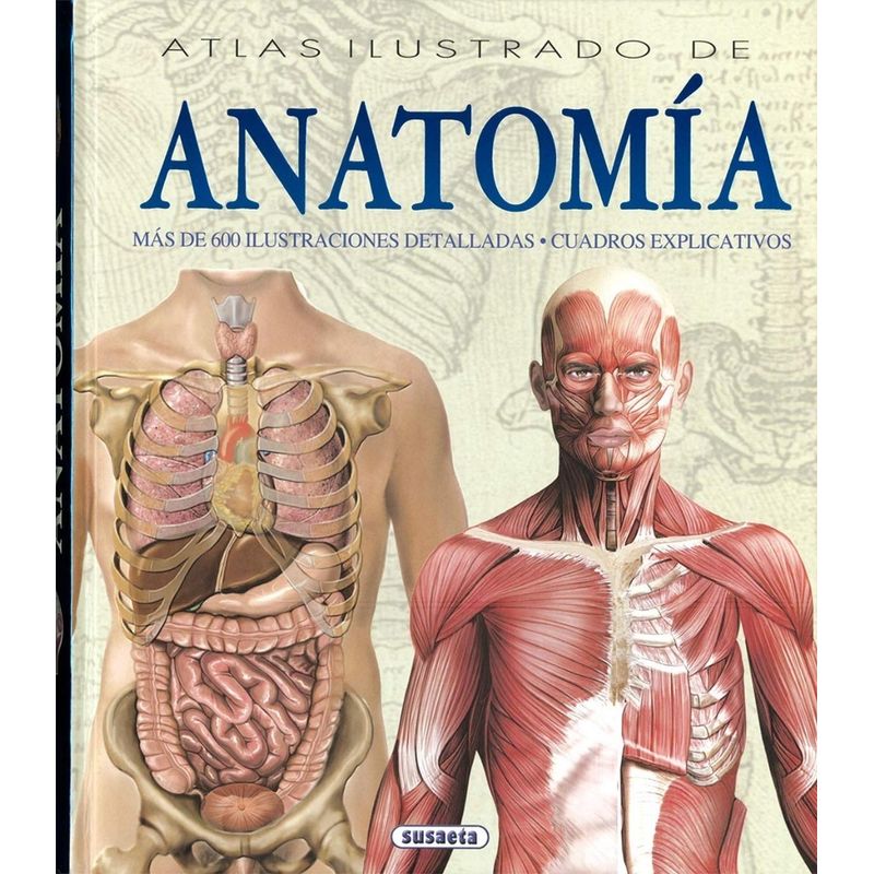 SUSAETA - Atlas Ilustrado De Anatomía