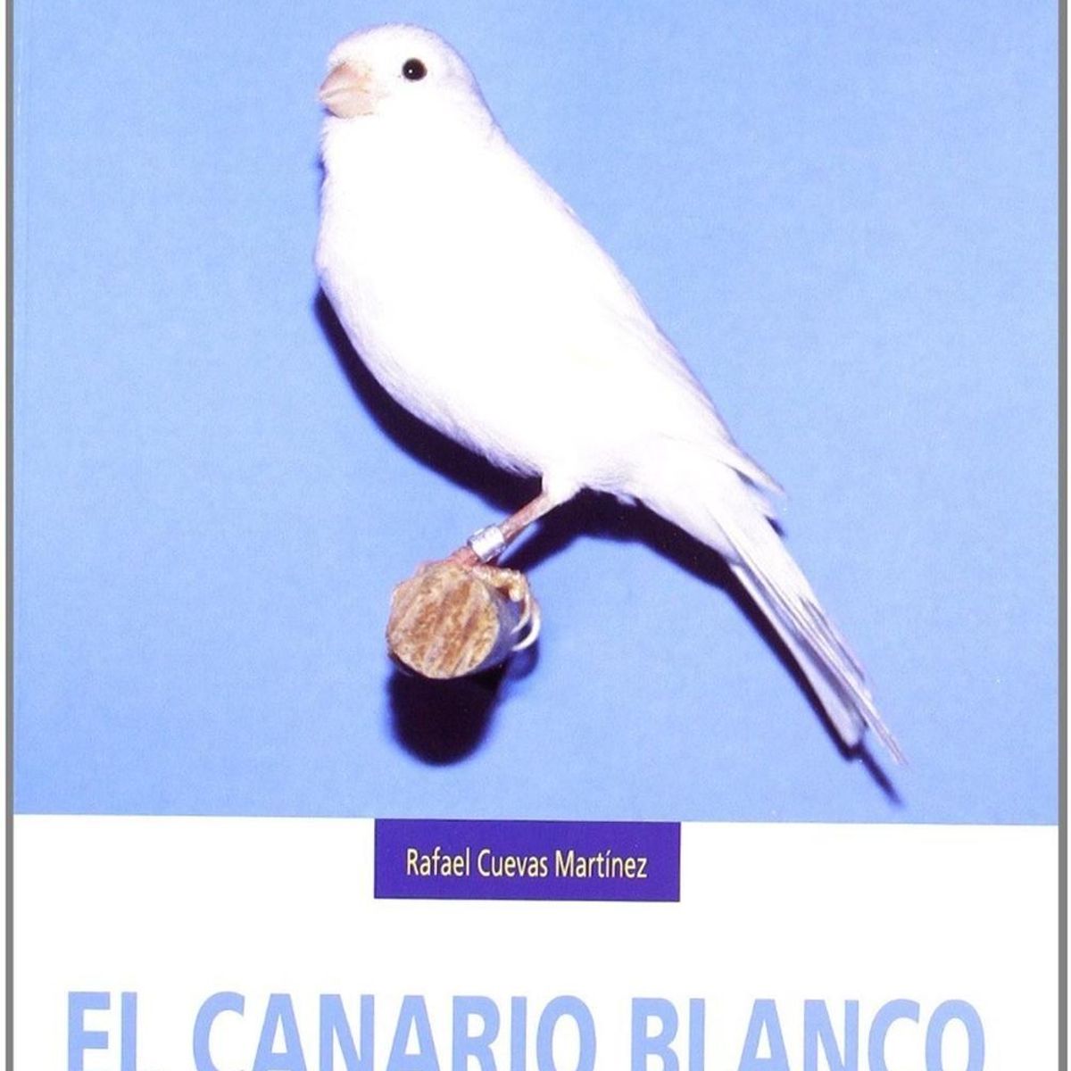 GENERICO - Canarios De Color. El Canario Blanco