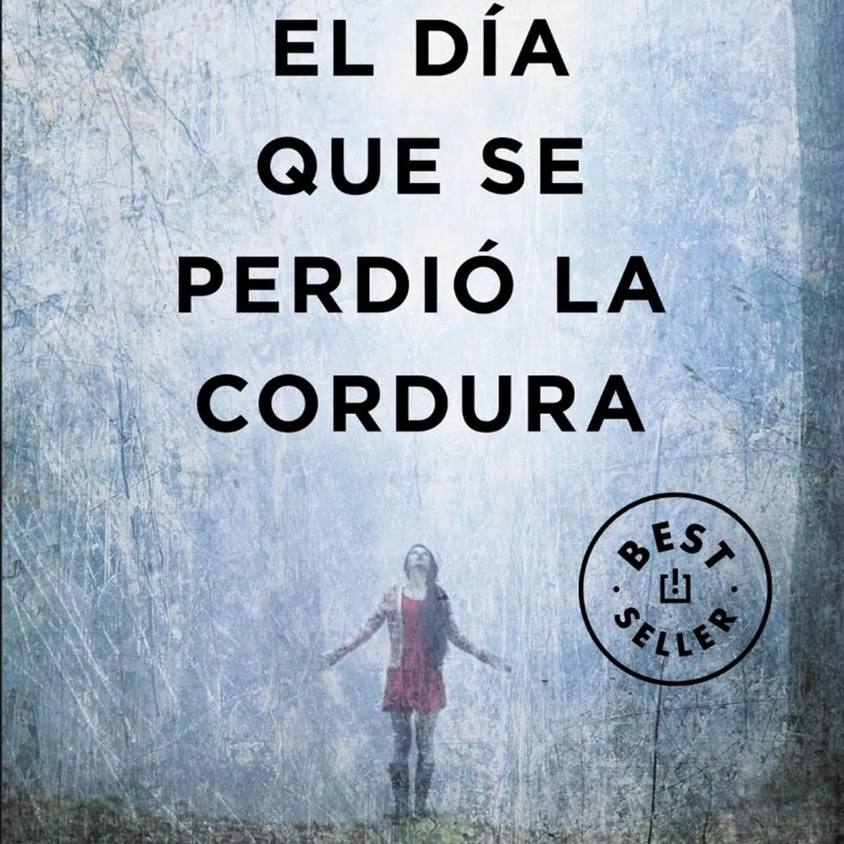 DEBOLSILLO - El Día Que Se Perdió La Cordura. Javier Castillo