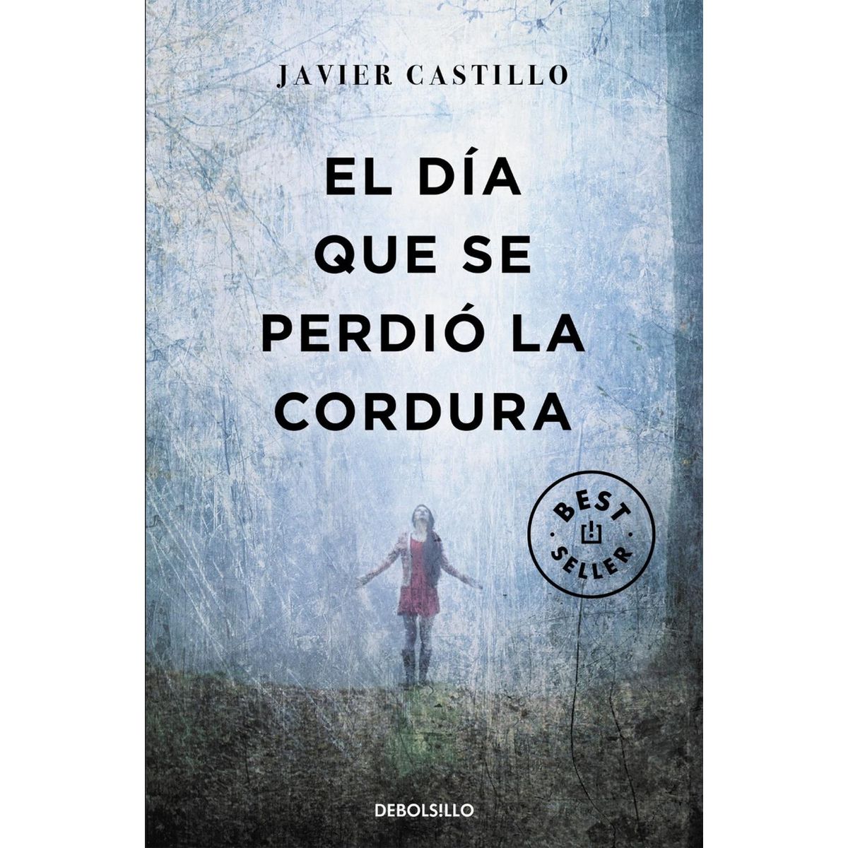 DEBOLSILLO - El Día Que Se Perdió La Cordura. Javier Castillo