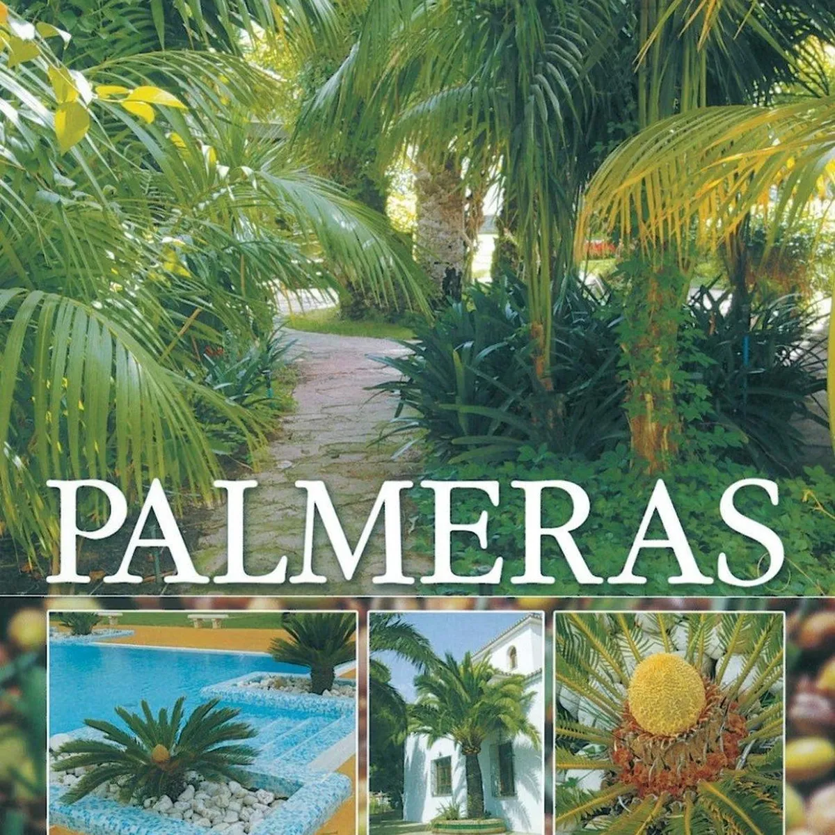 SUSAETA - Palmeras. Plantas De Jardín