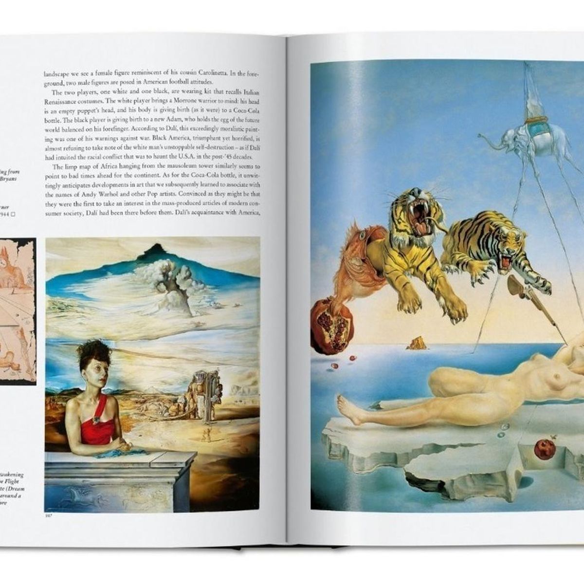TASCHEN - Dali La Obra Pictórica (t.d) -kl-