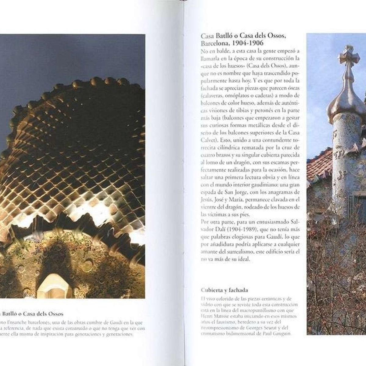 SUSAETA - Gaudí. Enciclopedia Del Arte