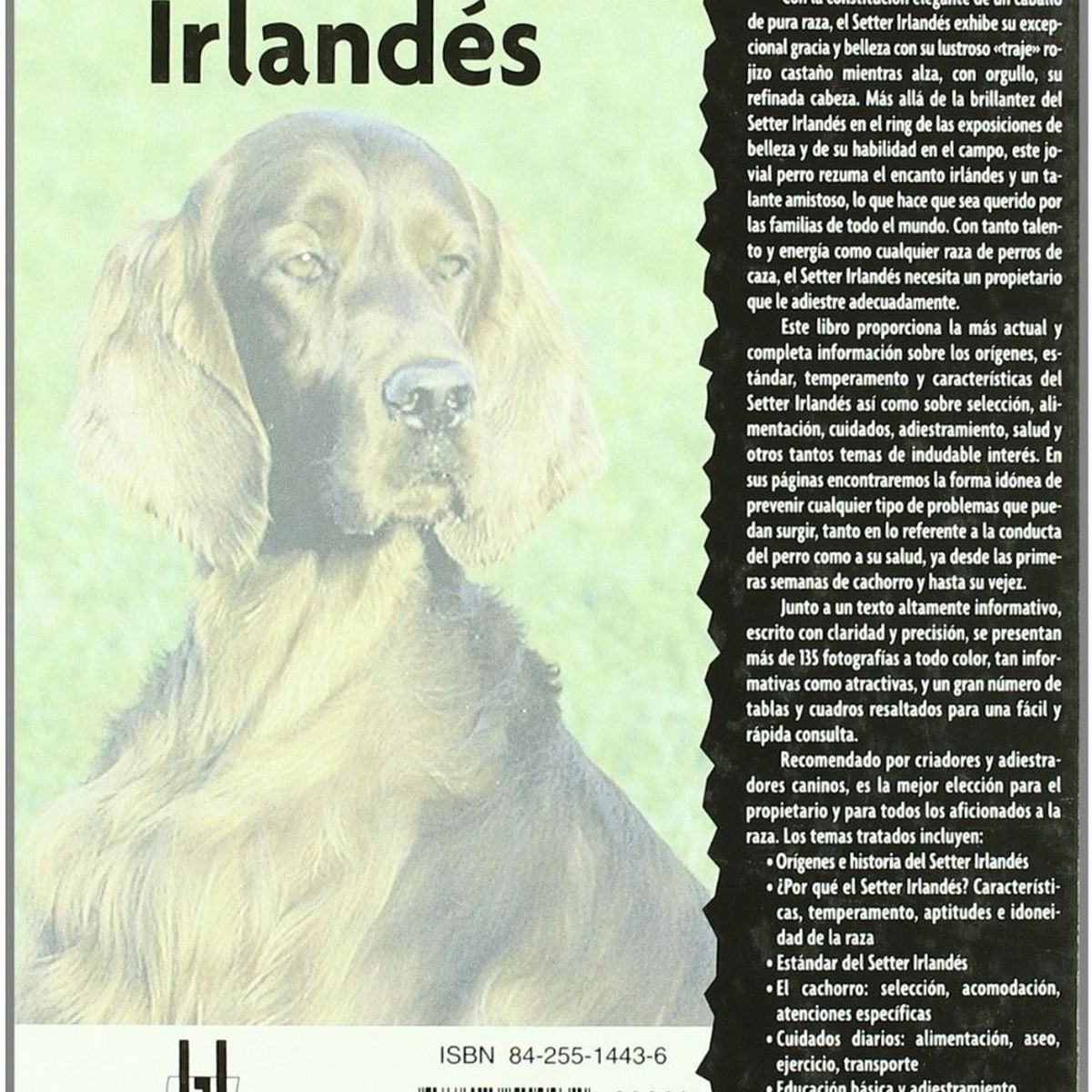 GENERICO - Setter Irlandés. Excellence