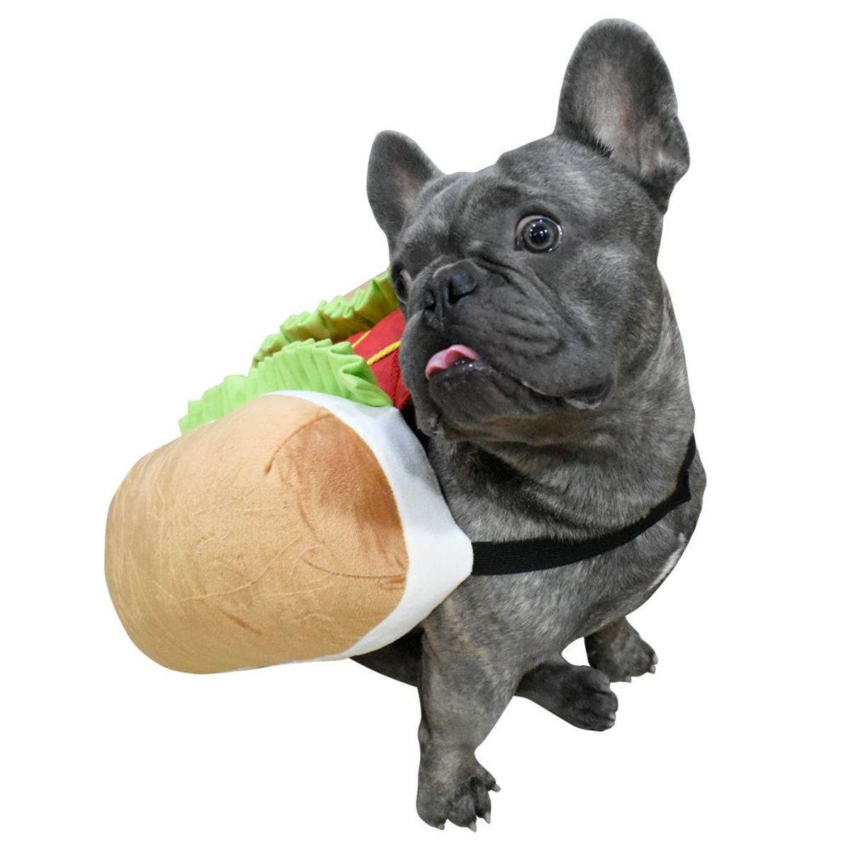 PRIMORDIAL - Disfraz hot dog para mascotas