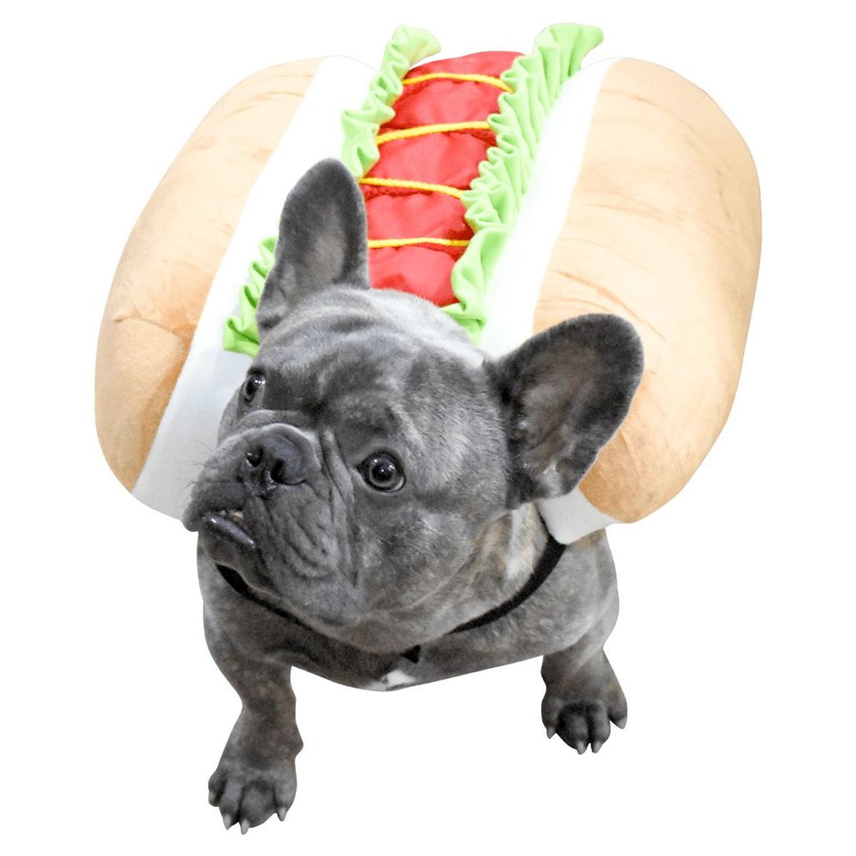 PRIMORDIAL - Disfraz hot dog para mascotas