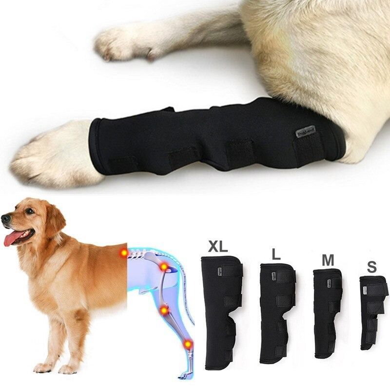 GENERICO - Ferula Rodilla Almohadillas Perro Apoyo Para Pierna TALLA XL