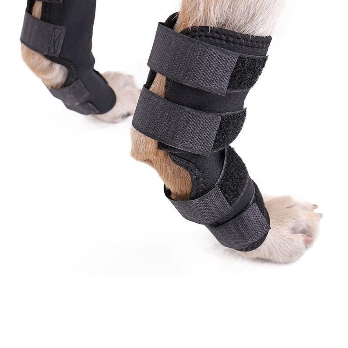 GENERICO - Ferula Rodilla Almohadillas Perro Apoyo Para Pierna TALLA L