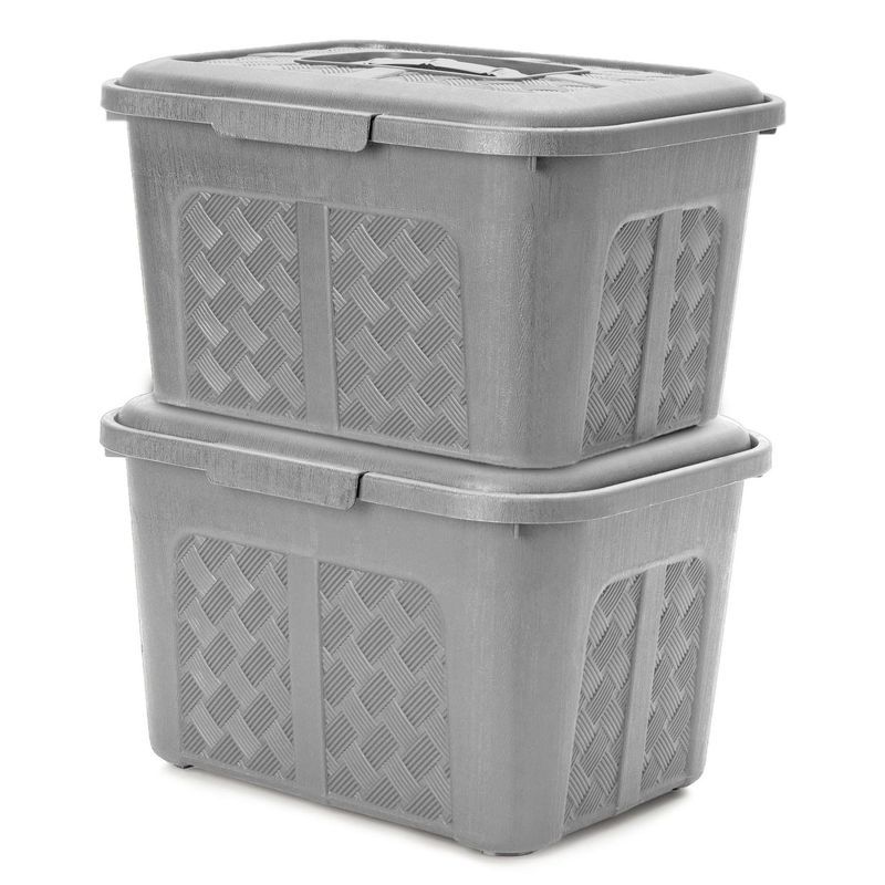 ENERGY PLUS - Set x2 Cajoneras o cajas plásticas organizadoras con tapa 6L Gris