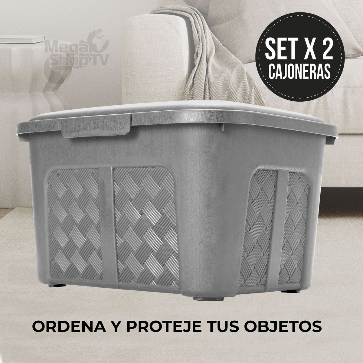 ENERGY PLUS - Set x2 Cajoneras o cajas plásticas organizadoras con tapa 10L Gris