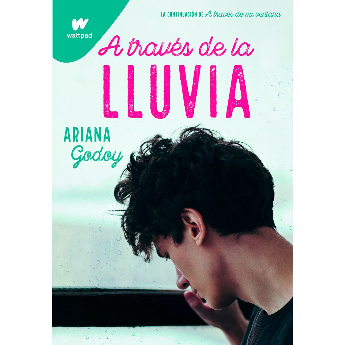 PENGUIN RANDOM HOUSE - A Través De La Lluvia. Ariana Godoy