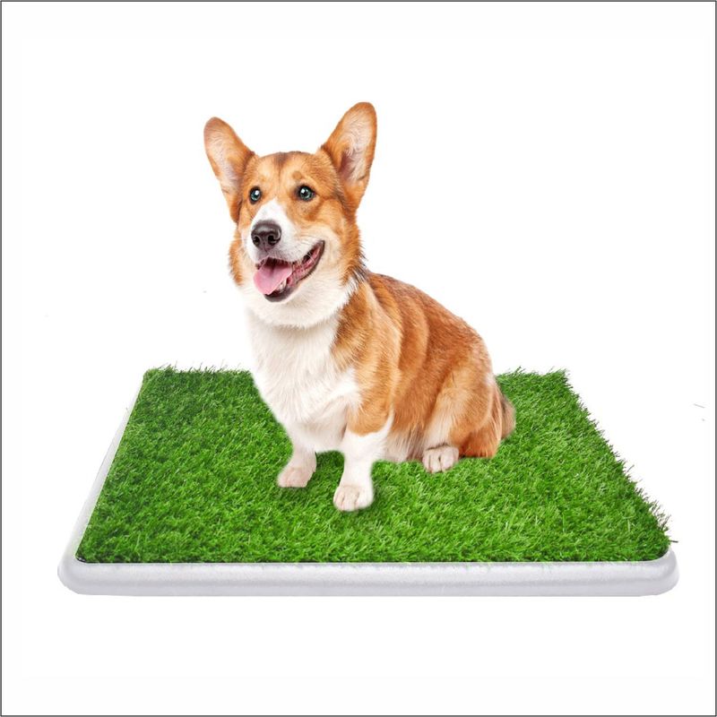 HALLY PET - Tapete entrenador Grande Para Mascota con grama Color Blanco