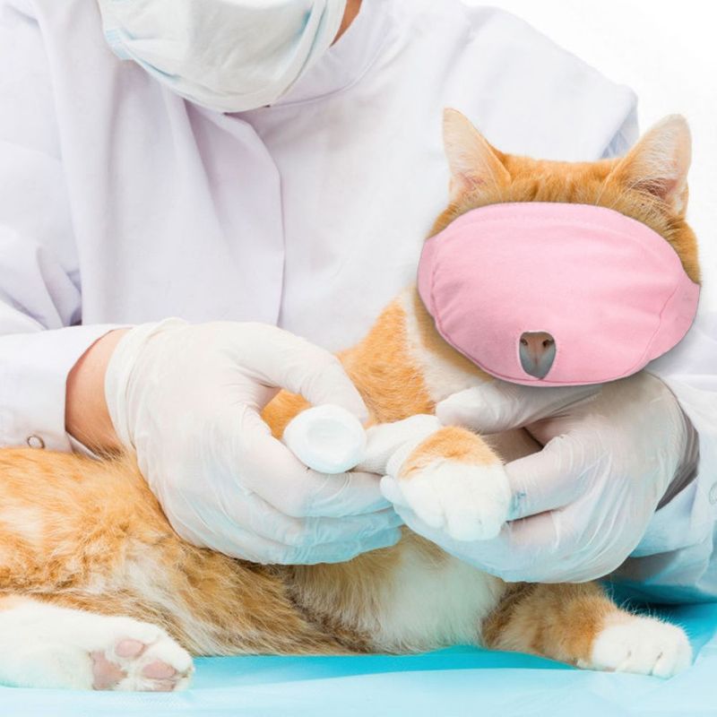 GENERICO - Bozales De Nailon Transpirables Gatos Mascarillas talla S