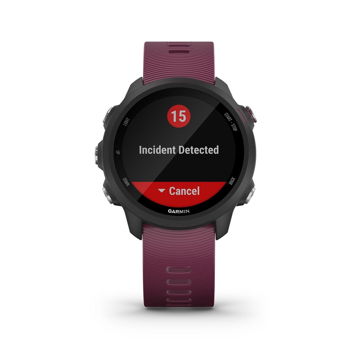 GARMIN - Smartwatch Garmin Forerunner 245