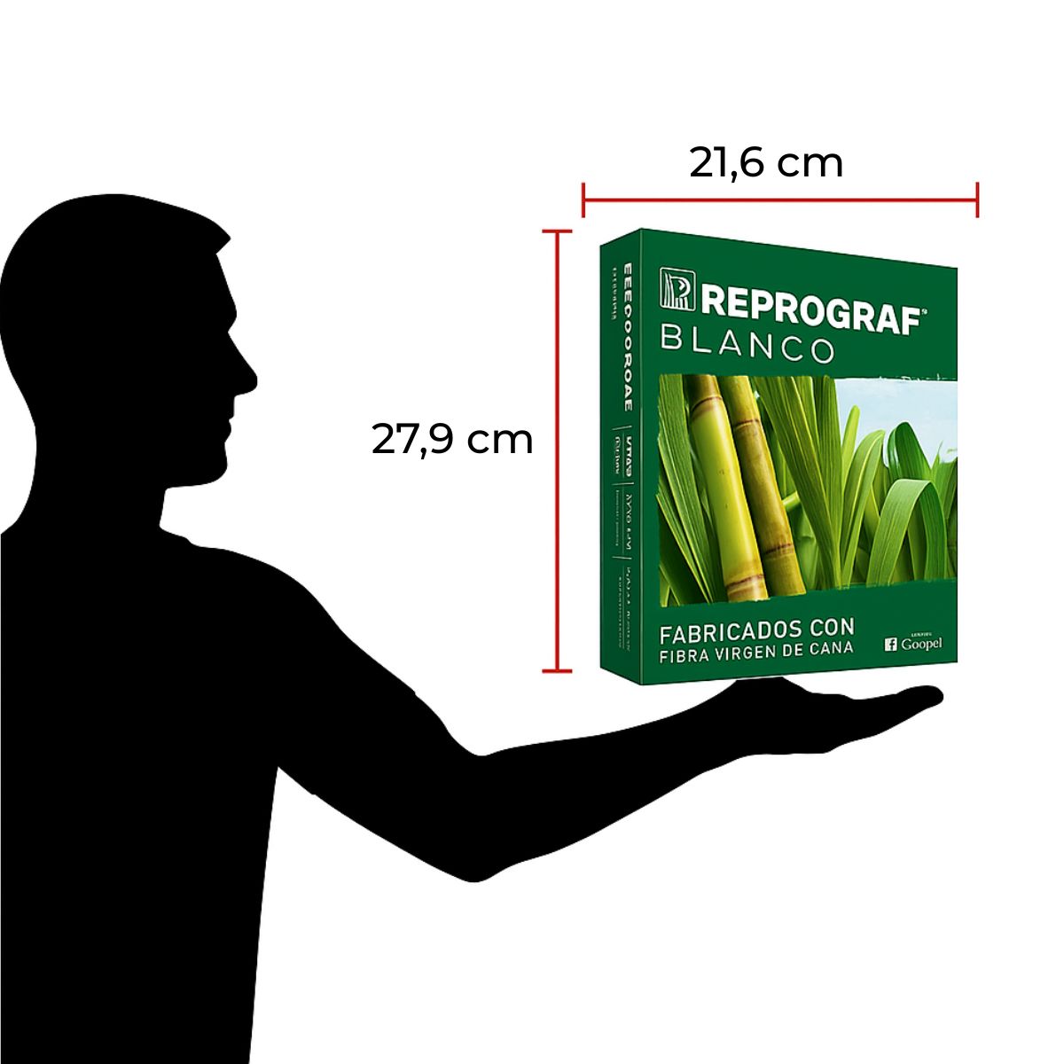 REPROGRAF - Resma Reprograf Carta Blanco De 500 Hojas De 75g
